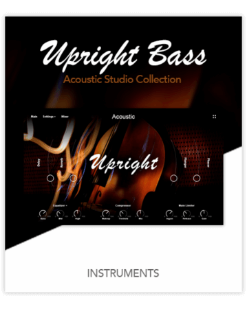 Muze Upright Bass KONTAKT